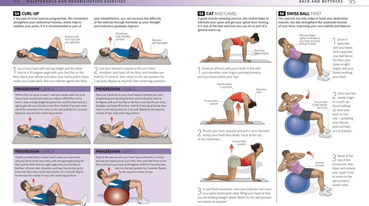 Lower back exercises strengthen low exercise yoga strengthening workout pain stretches workouts ejercicios weight easy fat improve stretching practice fitness